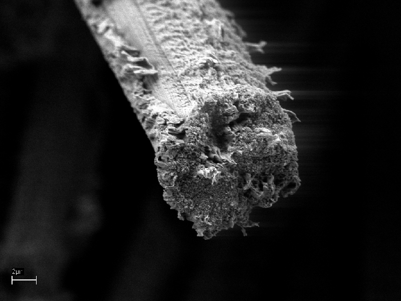 Carbon velvet fiber end