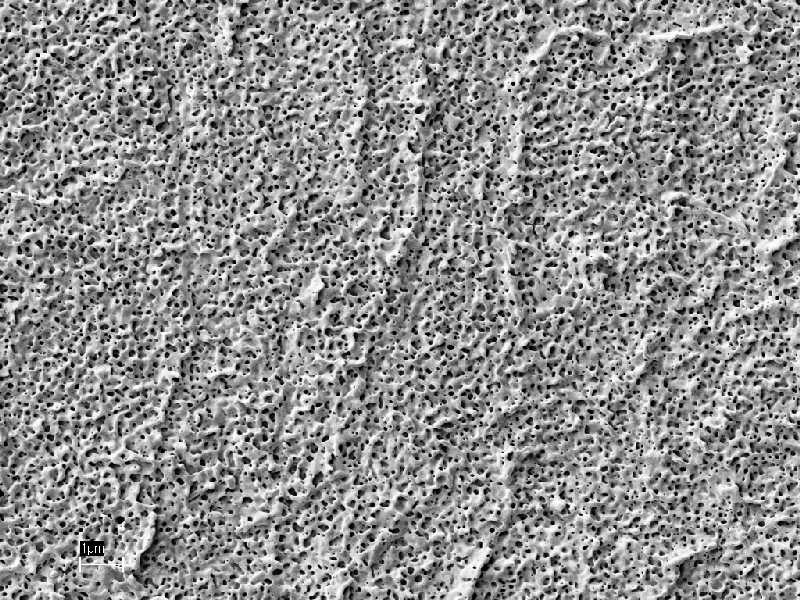 Mid-irradiation sample